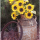 Illustration for article titled 20 Inspiring Flower Planters That Will Bring The Magic Into Your Garden